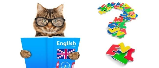 ¿Es mejor un profesor inglés nativo?